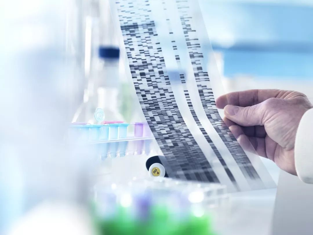 基因检测,真能帮我们预测智商吗?