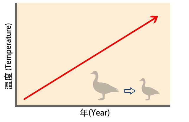 气候变暖,鸟儿的体型在缩水