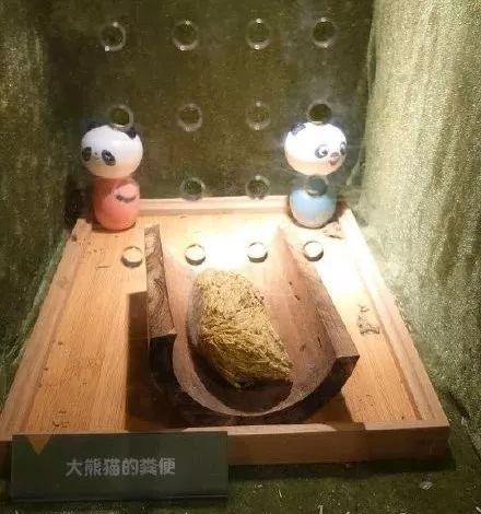 大熊猫的便便竟然是香的?不仅好闻还能用来擦嘴