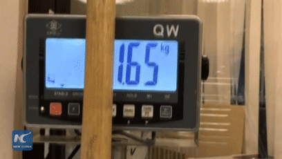 大熊猫的便便竟然是香的?不仅好闻还能用来擦嘴